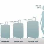 Giochi Preziosi Frozen Trolley Spinner Con Gadget 0 0