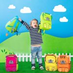 Trunki Trunki Toddlers Backpack Hi Viz Childrens Pre School Rucksack Toddlepak Bert Bear Blue Zainetto Per Bambini 27 Cm 5 Liters Blu 0 5