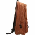 Vans Old Skool Plus Backpack Sequoia 0 2