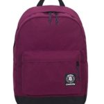 Zaino Invicta Carlson Viola Tasca Porta Pc Padded Americano 27 Lt 0