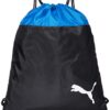Puma Teamgoal 23 Gym Sack 0